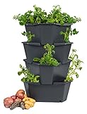 PAUL POTATO Starter Kartoffelturm - 4 Etagen von Gusta Garden - anthrazit/grau - stapelbar - Hochbeet/Pflanzgefäß für Balkon und Garten